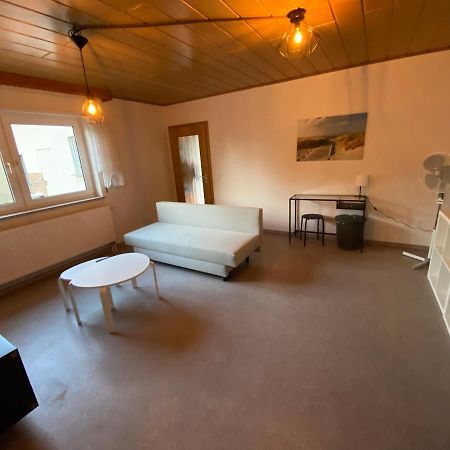 Ferienwohnung Suhad Ludwigshafen am Rhein Exteriör bild